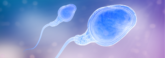 Datos sobre la producción de esperma