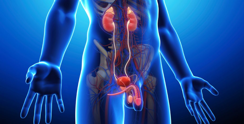 Urología 1 cirugia pene