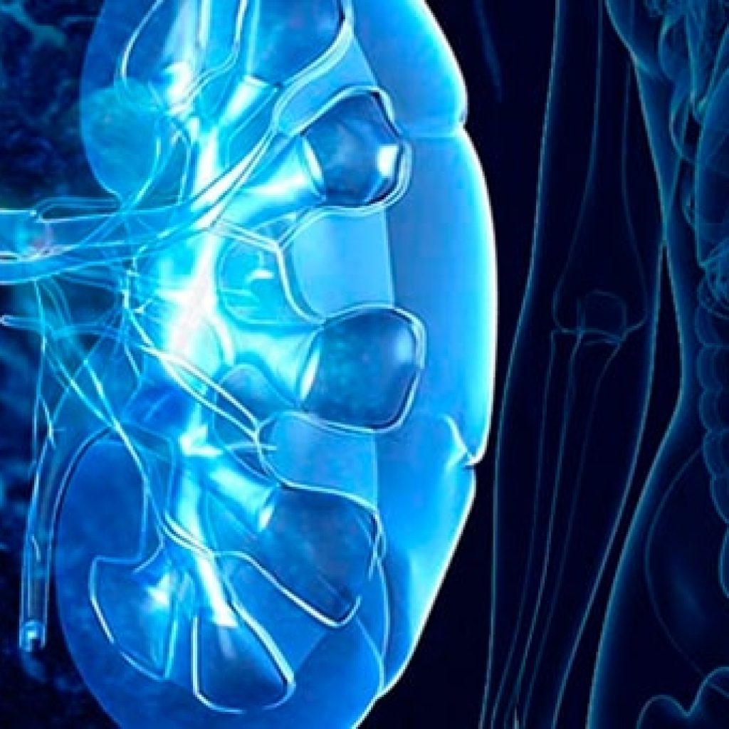 Enfermedades urologicas