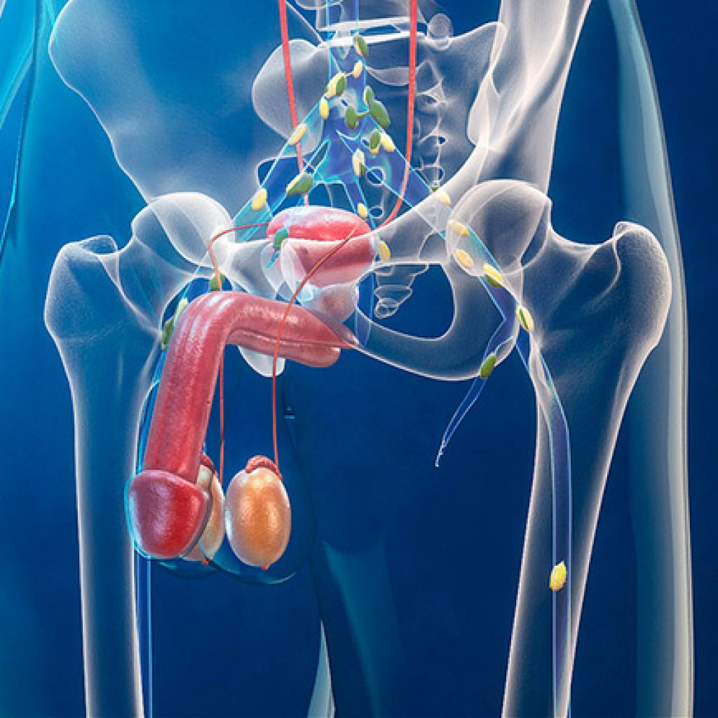 Enfermedades Urologicas