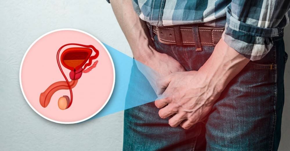 ¿A qué se deben las infecciones en las vías urinarias?