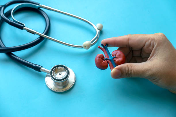 Salud avanzada con atención especializada de médico urólogo en Tijuana 2 Médico urólogo en Tijuana