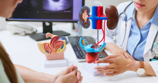 ¿Qué enfermedades detecta a tiempo una consulta urológica preventiva? 1 consultorio con diagrama de riñones